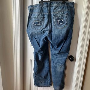 Lane Bryant Jeans
